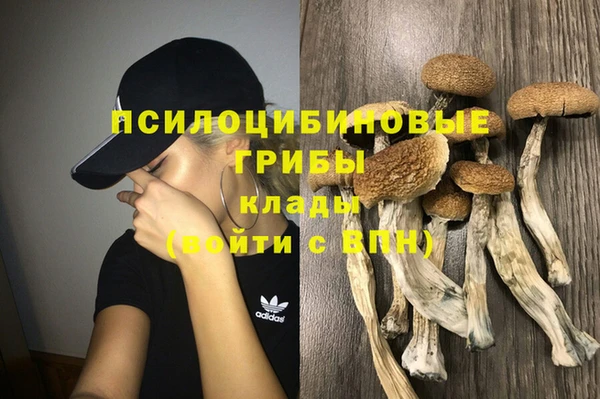 бошки Алексеевка