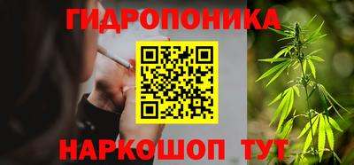 сатива Лесосибирск