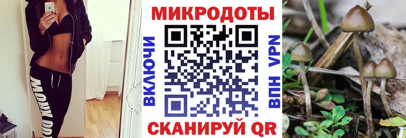 Галлюциногенные грибы мицелий  Вологда 