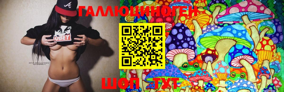 Псилоцибиновые грибы Cubensis Вологда